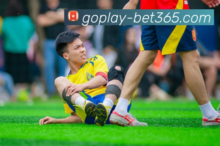 bet365平台生态图